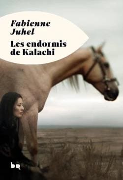 Couverture de livre